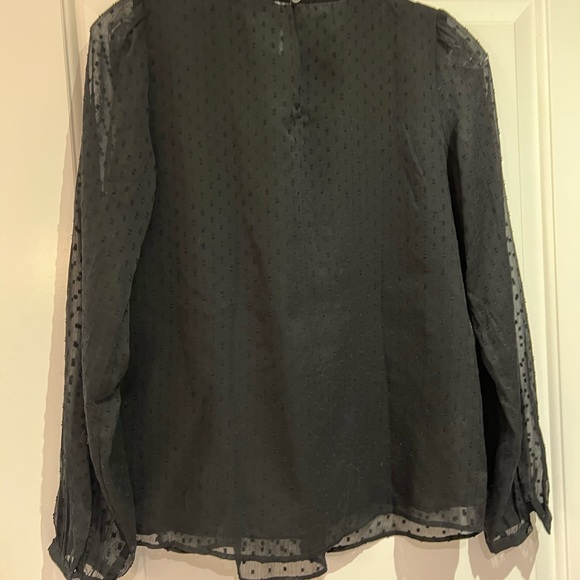 Loft, black Swiss dot, sheer sleeves, velvet trim top, size XS - Picture 2 of 6